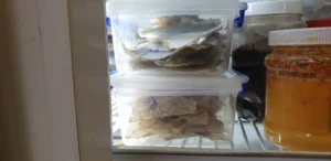 cach-bao-quan-hai-san-kho