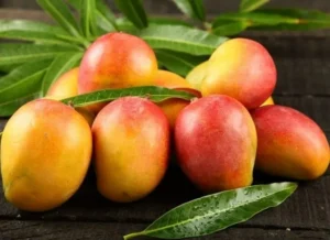 gia-banh-trang-xoai-nha-trang