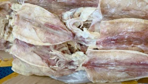 bi-quyet-chon-hai-san-kho