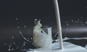 kem-cuon-nha-trang-co-tot