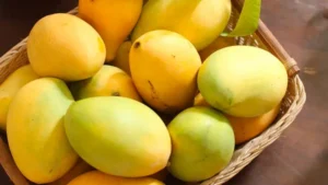 xoai-say-deo-nha-trang-co